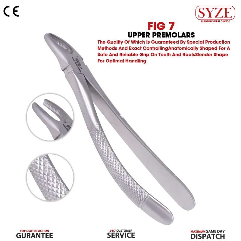 Fig 7 Upper Premolars