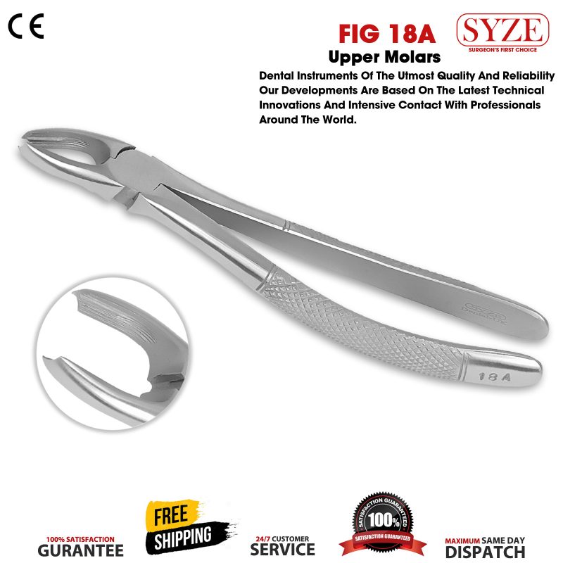 Fig 18A Upper Molars