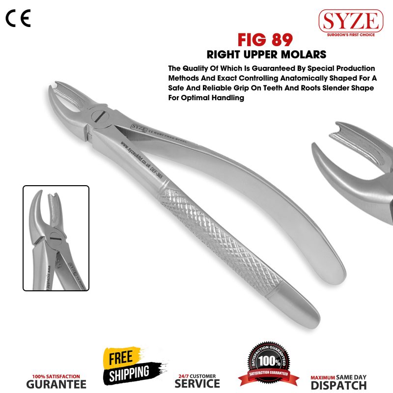 Fig 89 Right Upper Molars