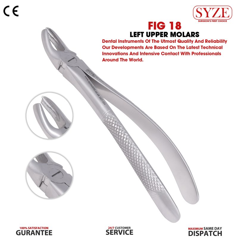 Fig 18 Left Upper Molars