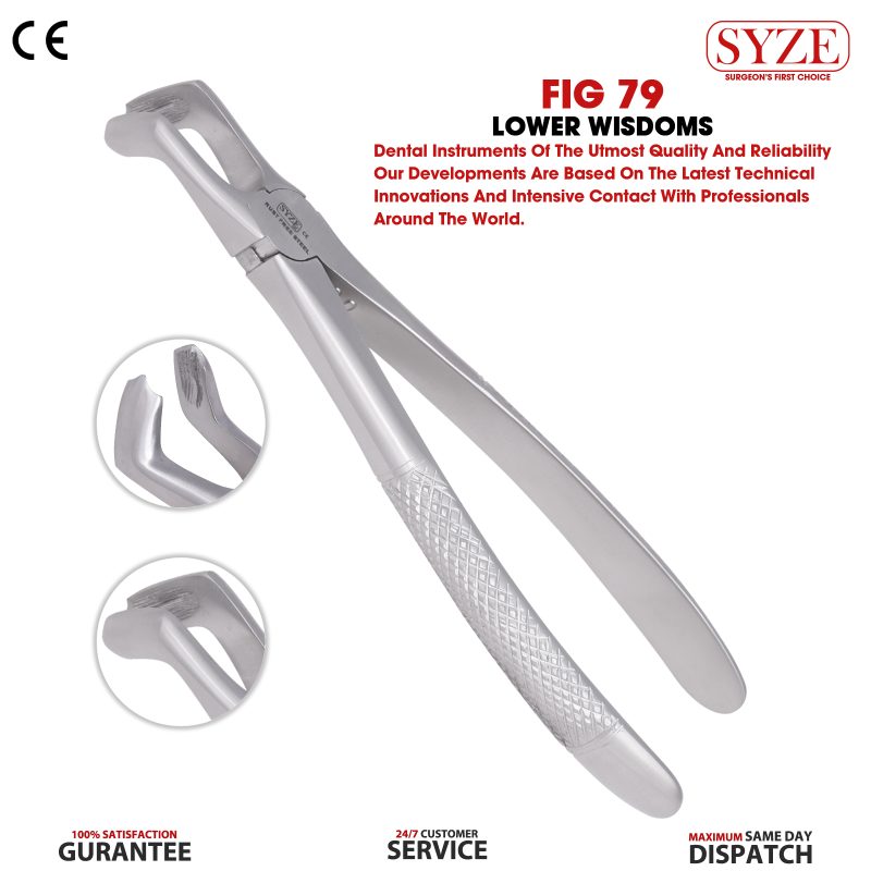 Fig 79 Lower Wisdoms