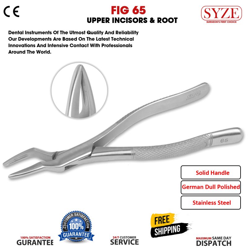 Fig 65 Upper Incisors & Roots