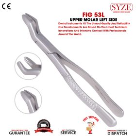 Fig 53L Upper Molars Left Side