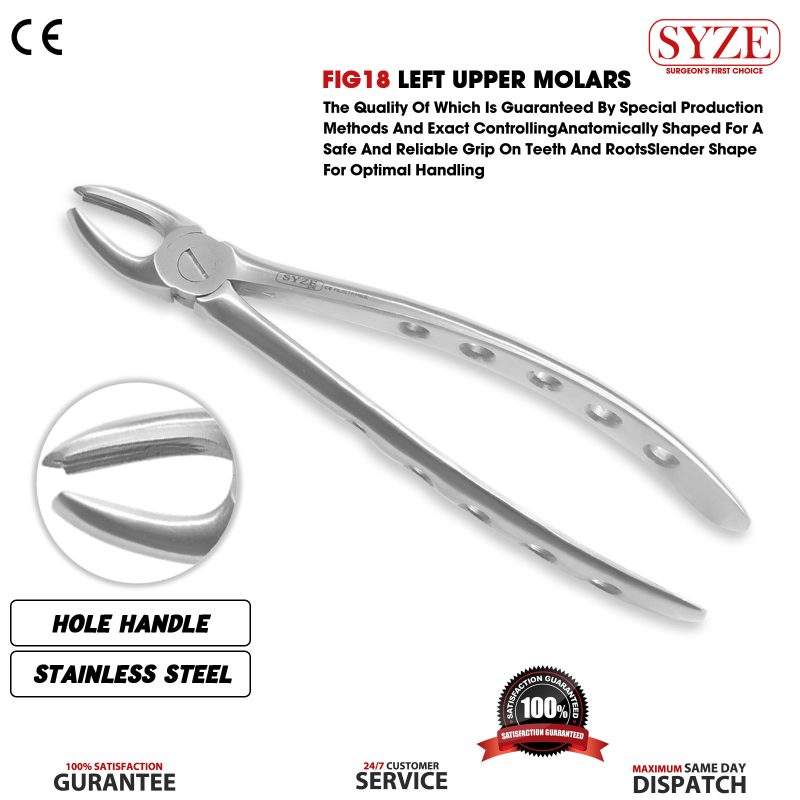 Fig 18 Left Upper Molars Whole Handle