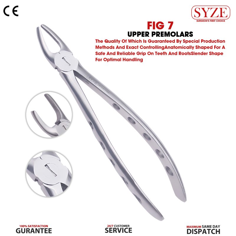 Fig 7 Upper Premolars Whole Handle