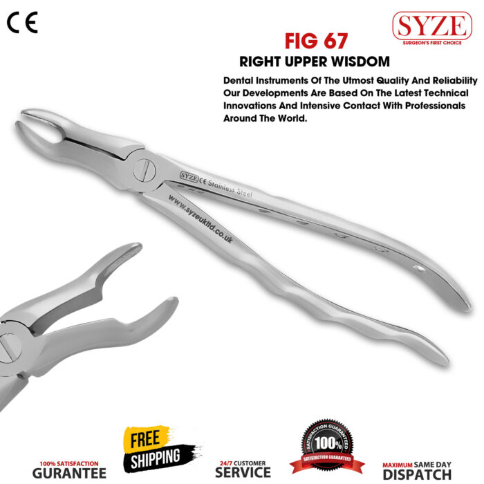 Fig 67 Upper Wisdom - Syze UK LTD