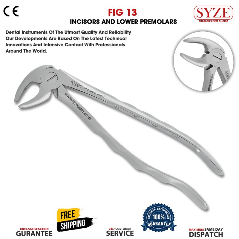 Fig 13 Incisors and Lower Premolars