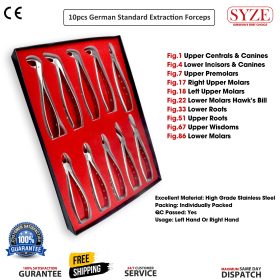 10 Pcs Adult Extraction Forceps Kit