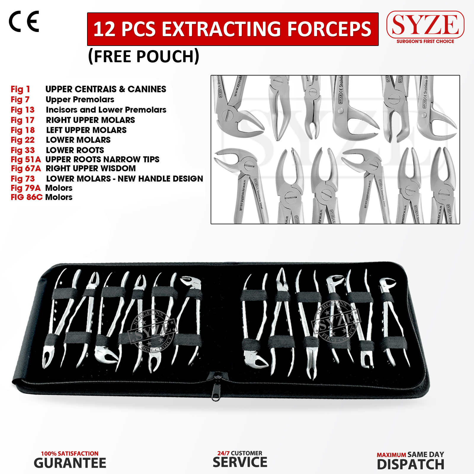 1 12 Pcs Adult Extraction Forceps Set