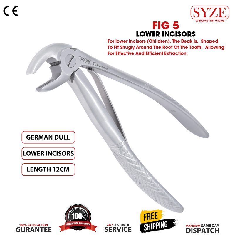 Fig 5 Lower Incisors