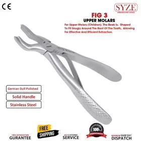 Fig 3 Upper Molars