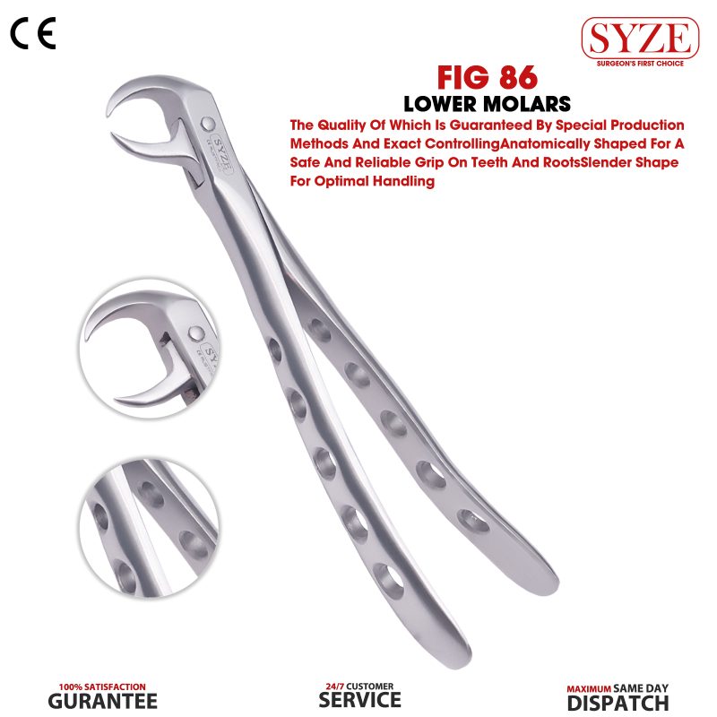 Fig 86C Lower Molars Whole Handle