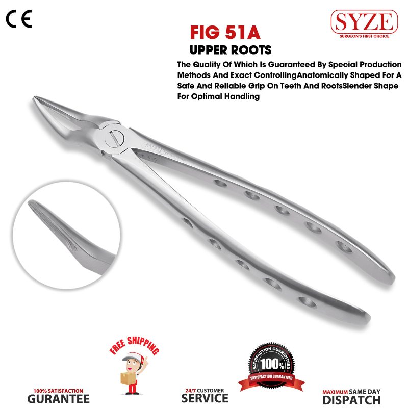 Fig 51A Upper Roots Narrow Beak Whole Handle