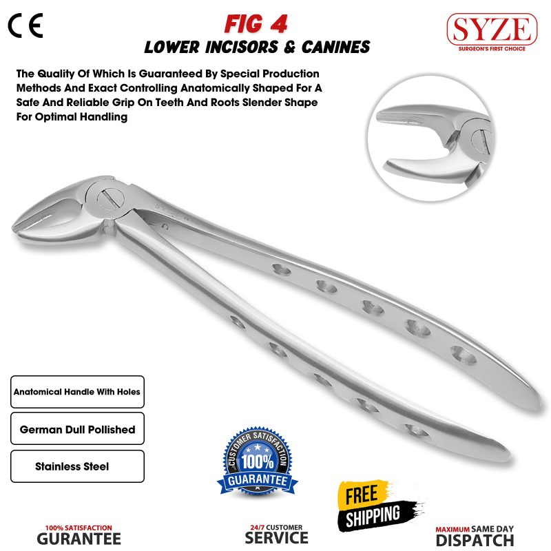 Fig 4 Lower Incisors & Canines Whole Handle