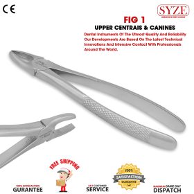 Fig 1 Upper Centrals & Canines