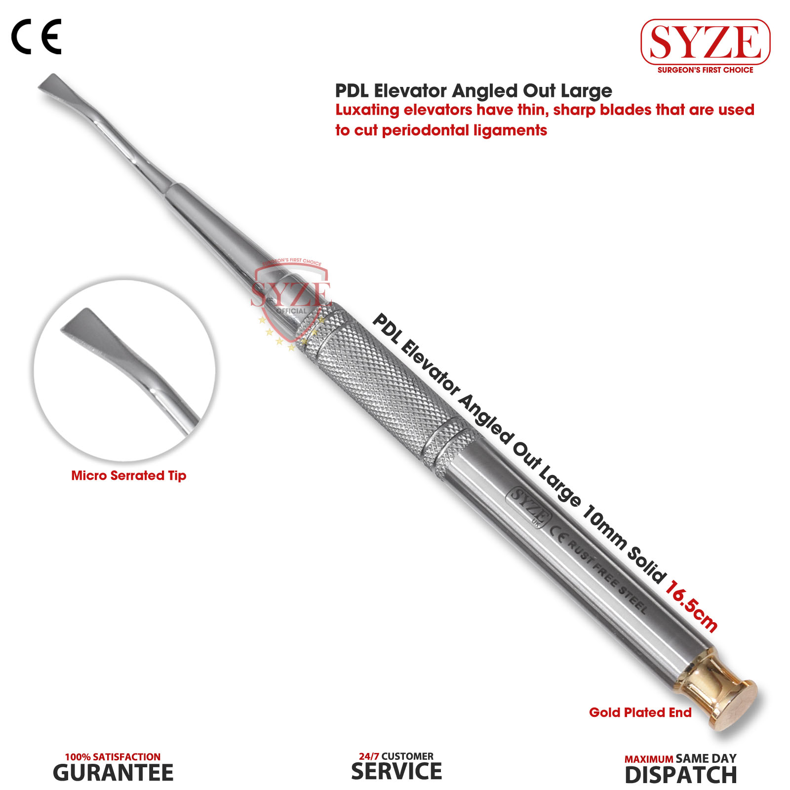 1 (2) Root Elevator Luxating PDL Dental Instruments Implant Titan Surgical