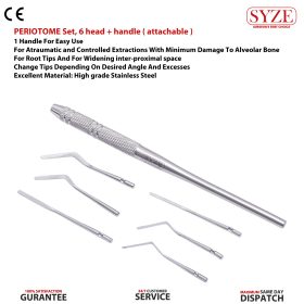 Periotome Set 6 Head + Handle ( Attachable )