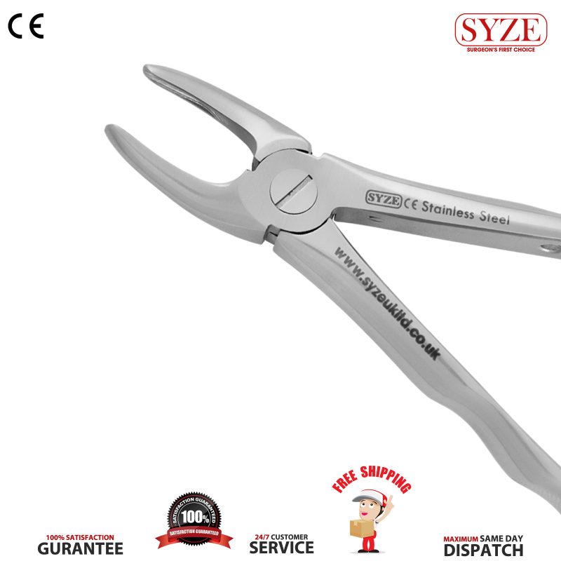Fig 7 Upper Premolars