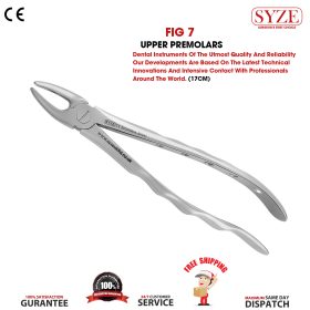 Fig 7 Upper Premolars