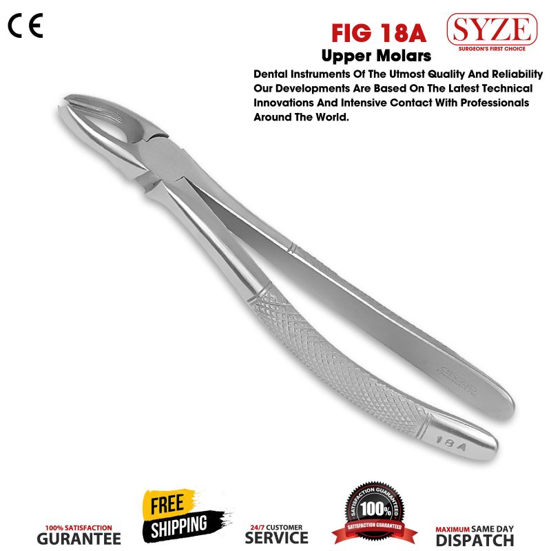 Fig 18A Upper Molars