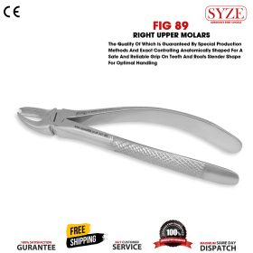 Fig 89 Right Upper Molars