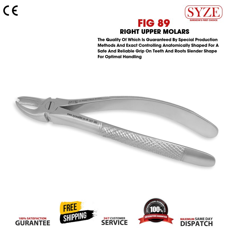 Fig 89 Right Upper Molars
