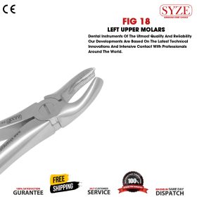 Fig 18 Left Upper Molars