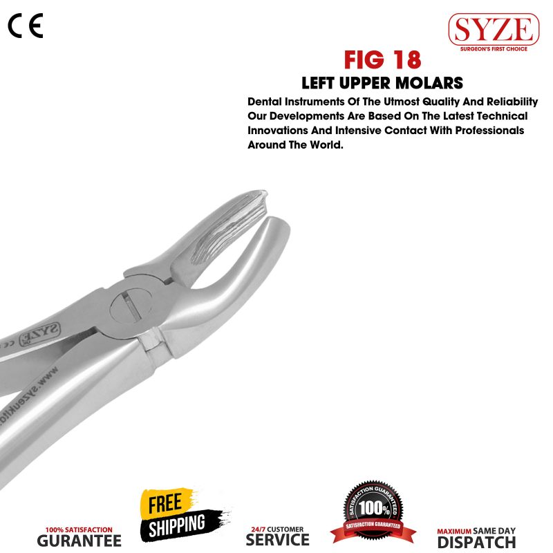 Fig 18 Left Upper Molars