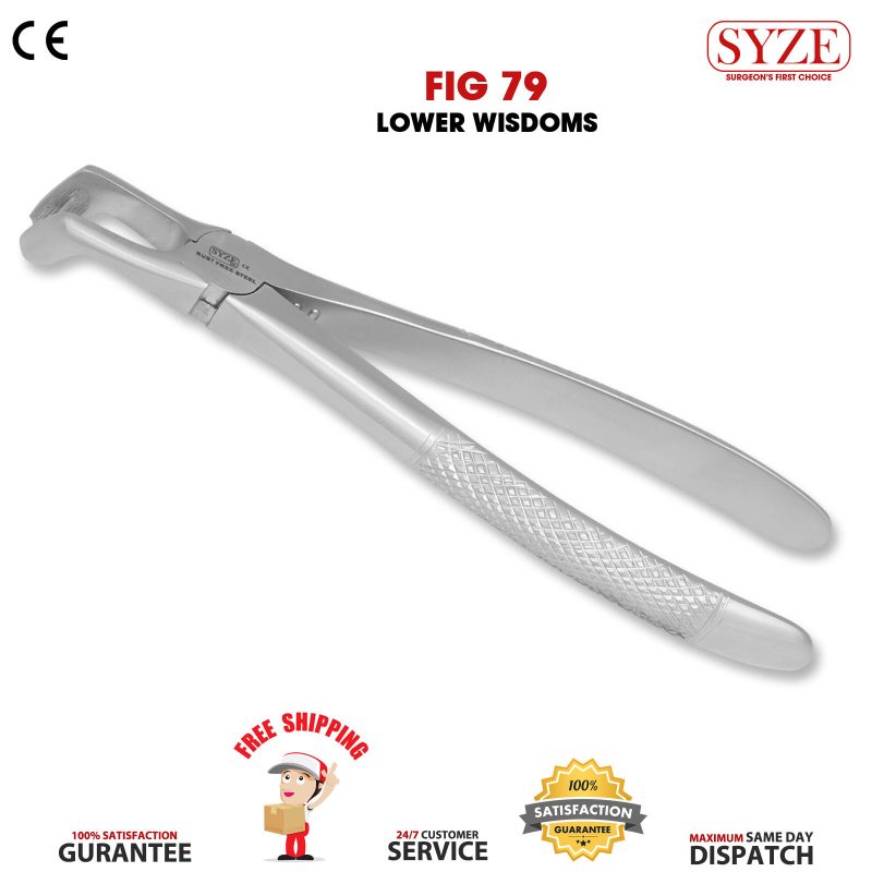 Fig 79 Lower Wisdoms