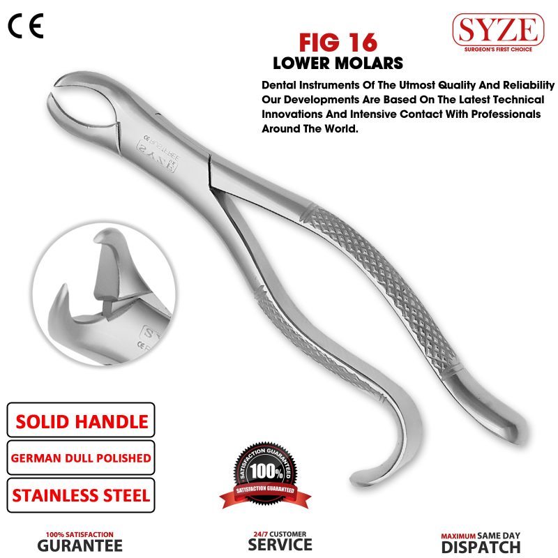 Fig 16 Lower Molars (COW-HORN BEAK)