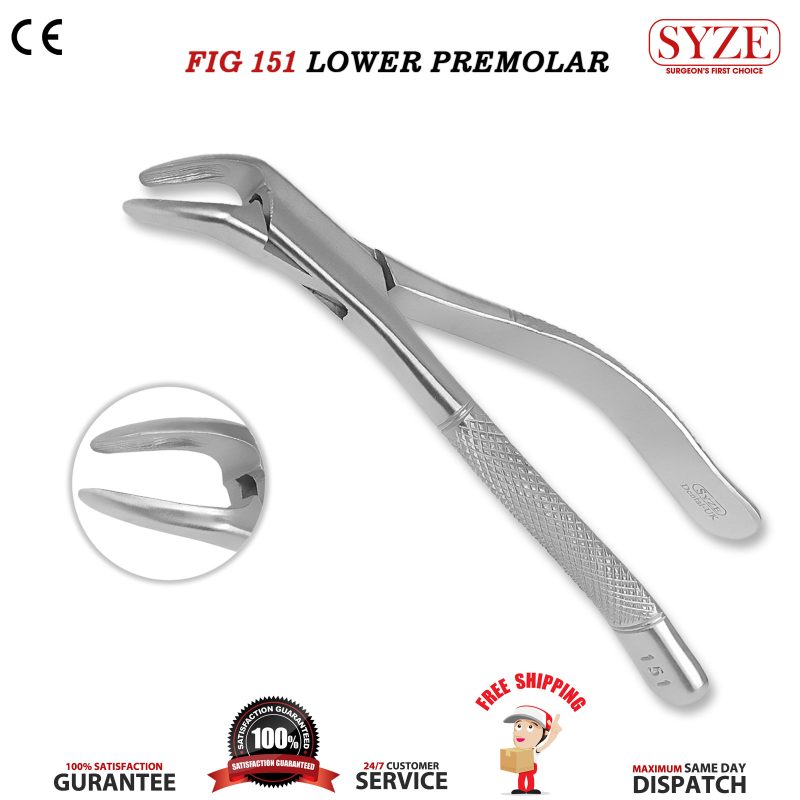 Fig 151 Lower Premolars, Incisors & Roots