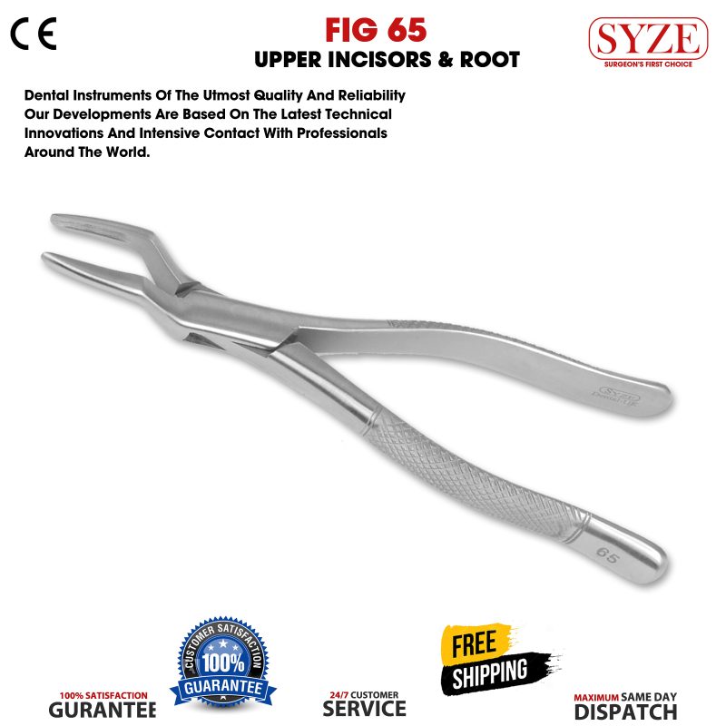 Fig 65 Upper Incisors & Roots