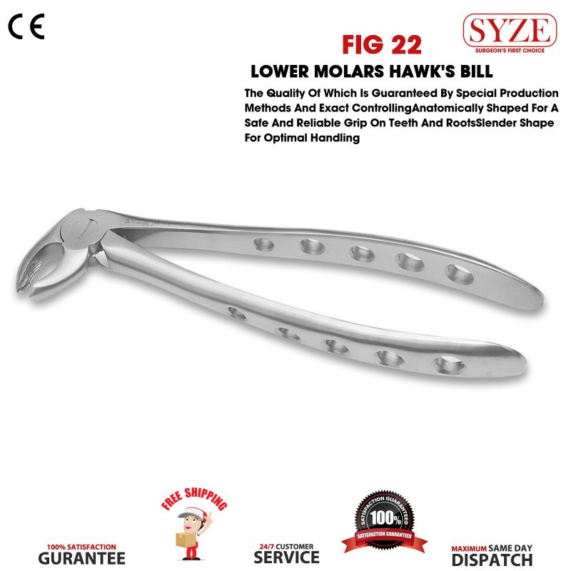 Fig 22 Lower Molars Whole Handle