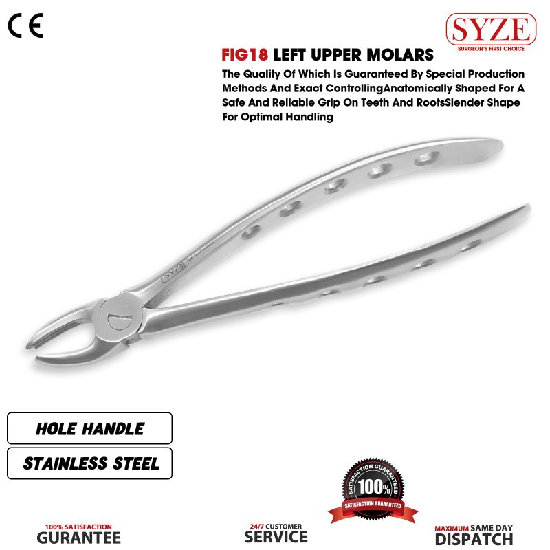 Fig 18 Left Upper Molars Whole Handle