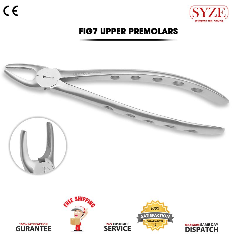 Fig 7 Upper Premolars Whole Handle