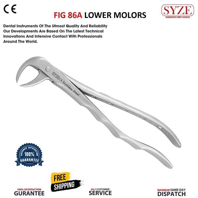 Fig 86A Lower Molars