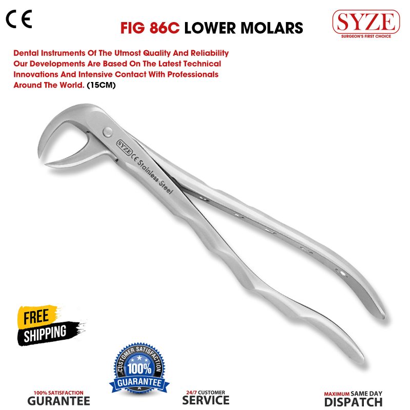Fig 86C Lower Molars