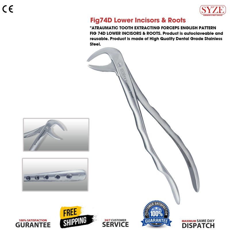 Fig 74D Lower Incisors & Roots