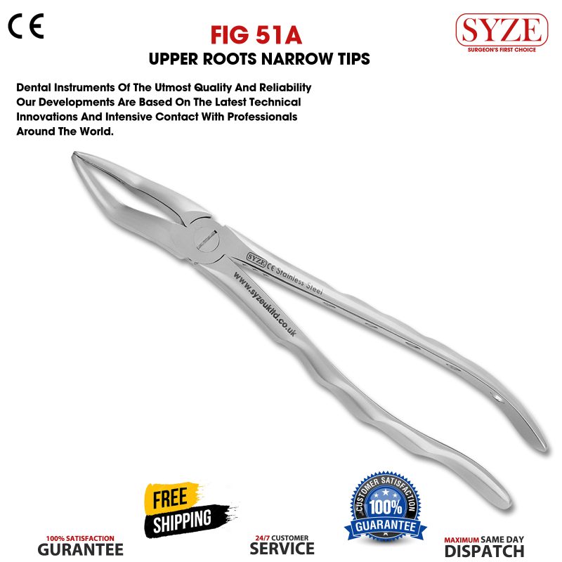 Fig 51A Upper Roots Narrow Beak