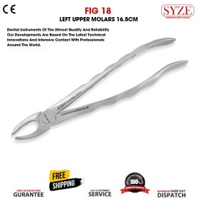 Fig 18 Left Upper Molars