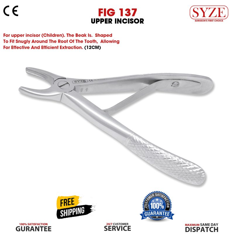 Fig 137 Upper Incisor & Canines