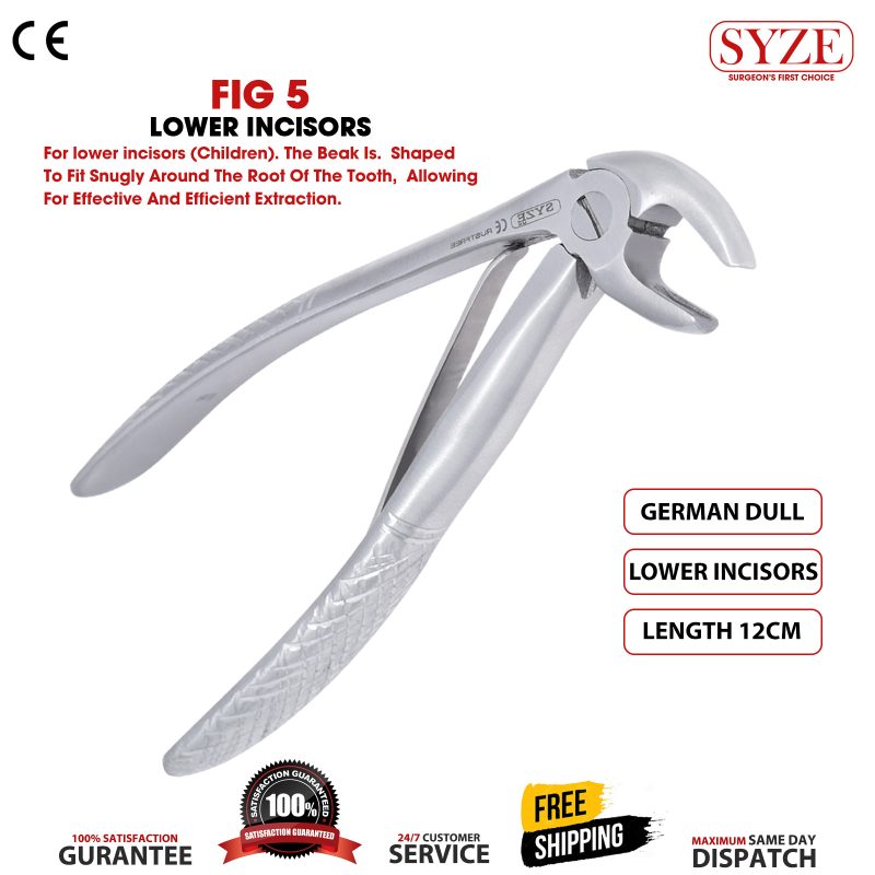 Fig 5 Lower Incisors