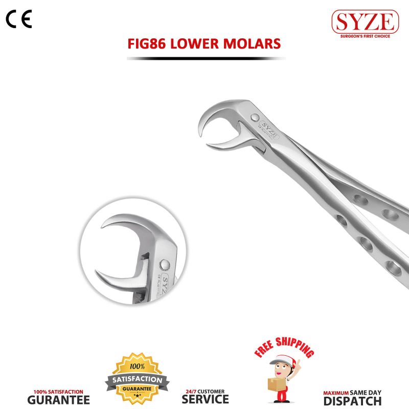 Fig 86C Lower Molars Whole Handle