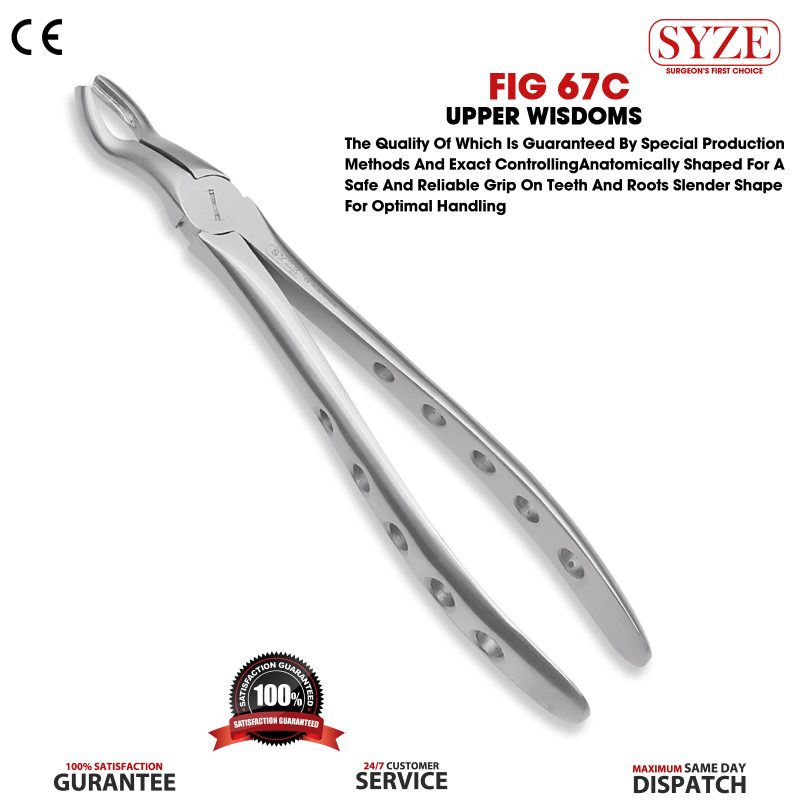 Fig 67C Upper Wisdoms Whole Handle