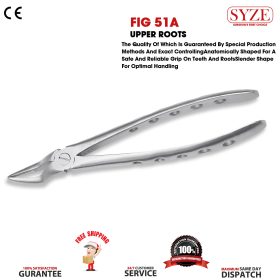 Fig 51A Upper Roots Narrow Beak Whole Handle