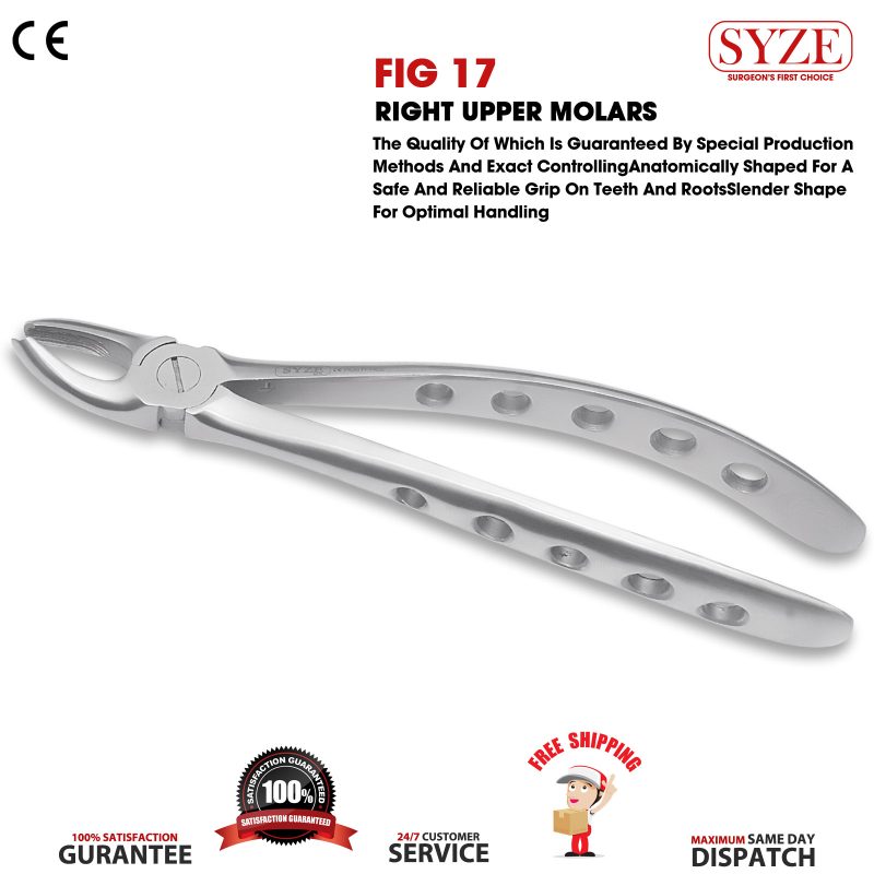 Fig 17 Right Upper Molars Whole Handle