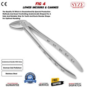 Fig 4 Lower Incisors & Canines Whole Handle