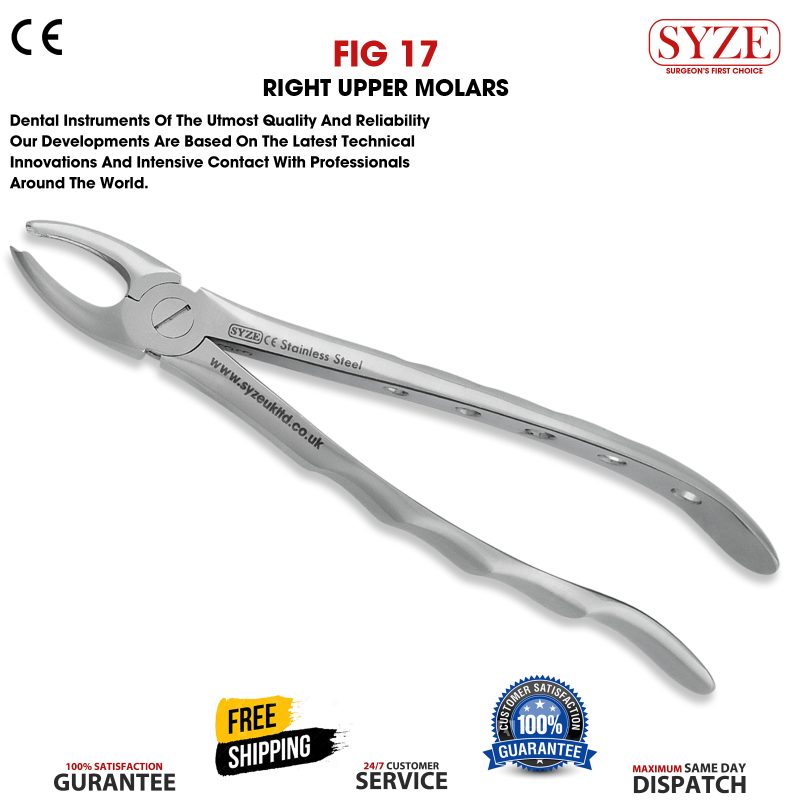 Fig 17 Right Upper Molars