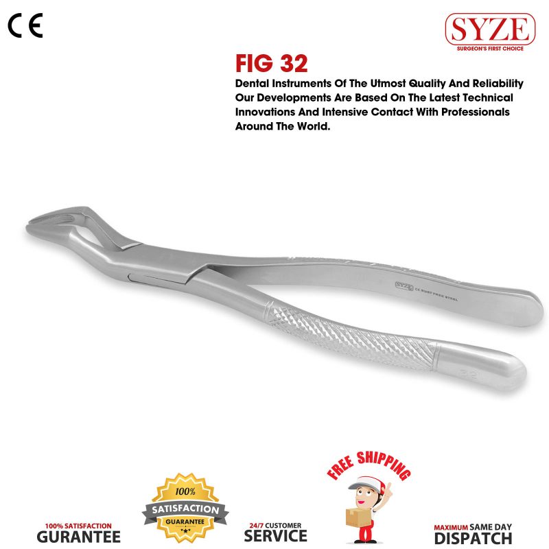 Fig 32 Upper Molars & Pre-Molars Strong Beak