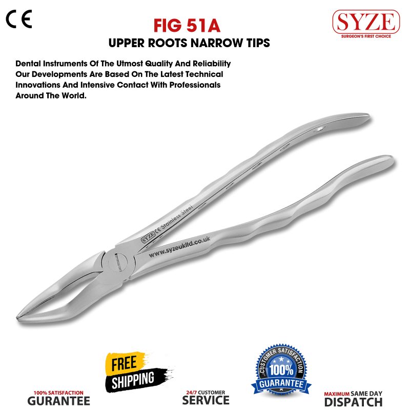 Fig 51A Upper Roots Narrow Beak